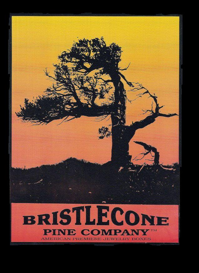 Bristle Cone Pine Company Brochure Cover